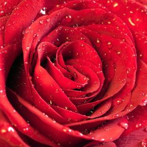 dermo28-cosmetic-innovation-filosofia-passione